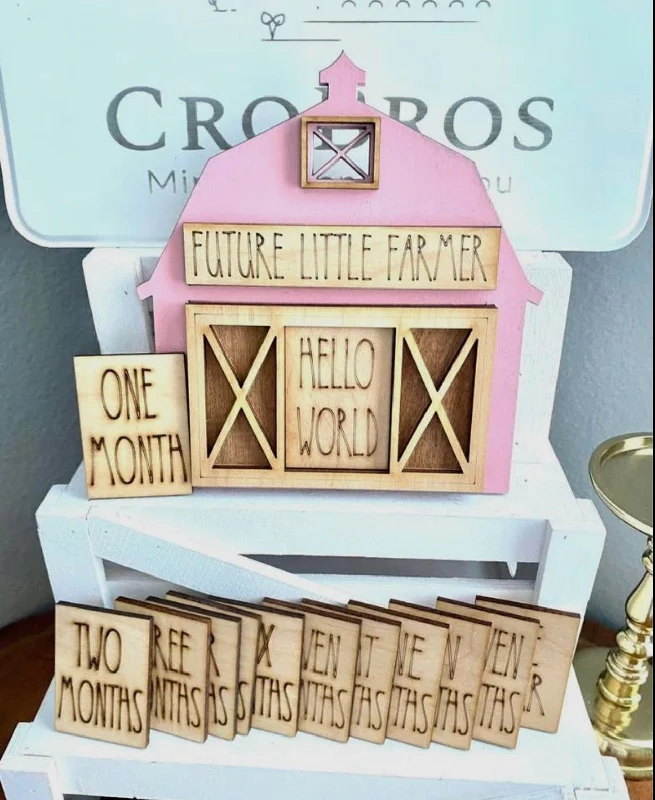 Timeless Comfort Pink Barn Baby Announcement & Monthly Milestone